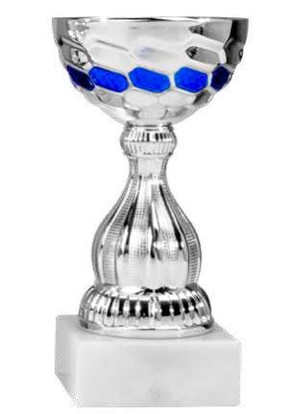 pokal-alegra-138-mm-a-nr-40983-01-coole-eventideen-com.jpg
