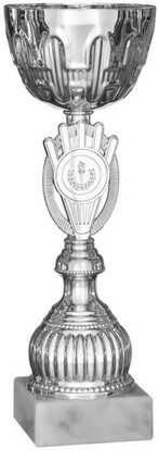 pokal-alina-260-mm-a-nr-41523-01-coole-eventideen-com.jpg