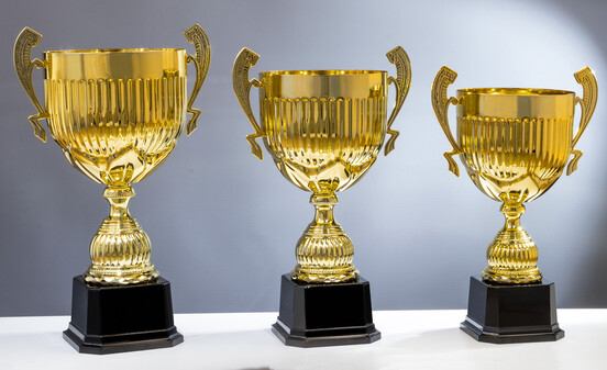 pokal-dobrina-462-mm-a-nr-56813-01-coole-eventideen-com.jpg pokal-dobrina-462-mm-a-nr-56813-01-coole-eventideen-com.jpg