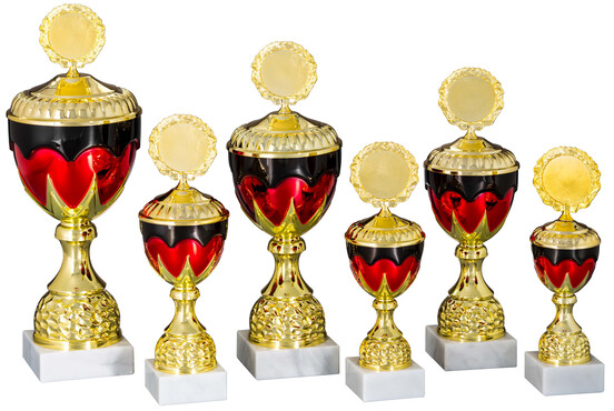 deutschland-pokal-deutschland-250-mm-a-nr-57555-01-coole-eventideen-com.jpg