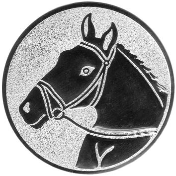 emblem-reiten-1-50-mm-silber-a-nr-sti-60898-01-coole-eventideen-com.jpg