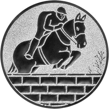 emblem-reiten-3-25-mm-silber-a-nr-sti-60909-01-coole-eventideen-com.jpg