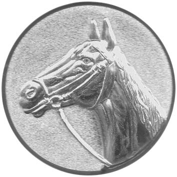 emblem-reiten-5-25-mm-silber-a-nr-sti-60921-01-coole-eventideen-com.jpg