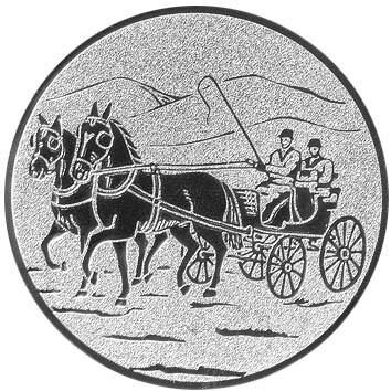 emblem-reiten-10-25-mm-silber-a-nr-sti-60939-01-coole-eventideen-com.jpg
