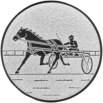 emblem-reiten-13-50-mm-silber-a-nr-sti-60946-01-coole-eventideen-com.jpg