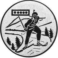 emblem-ski-2-25-mm-silber-a-nr-sti-61149-01-coole-eventideen-com.jpg