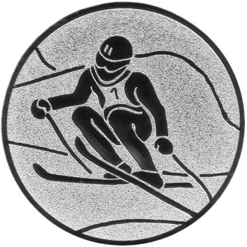 emblem-ski-5-50-mm-silber-a-nr-sti-61138-01-coole-eventideen-com.jpg