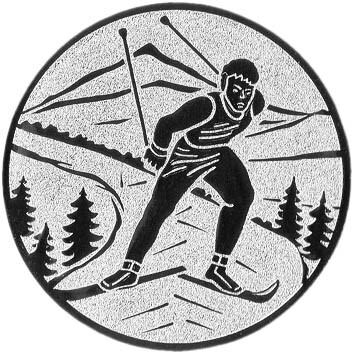 emblem-ski-6-25-mm-silber-a-nr-sti-61143-01-coole-eventideen-com.jpg