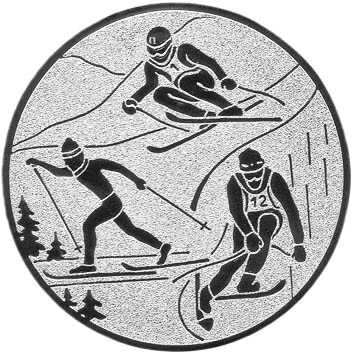 emblem-ski-7-50-mm-silber-a-nr-sti-61156-01-coole-eventideen-com.jpg