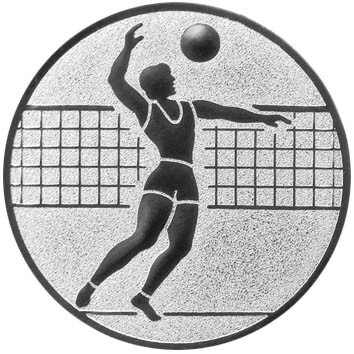 emblem-volleyball-1-50-mm-silber-a-nr-sti-61378-01-coole-eventideen-com.jpg