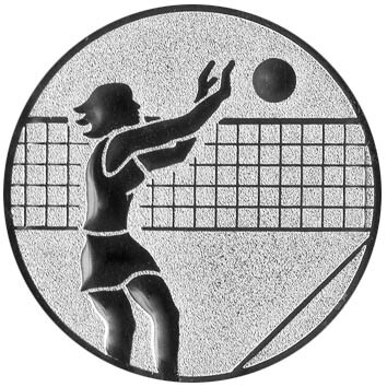 emblem-volleyball-2-50-mm-silber-a-nr-sti-61384-01-coole-eventideen-com.jpg