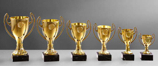 staender-trophaee-cup-2-a-nr-sti-56090-01-coole-eventideen-com.jpg