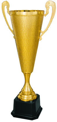 pokal-christian-noah-henkelpokal-700-mm-a-nr-40426-01-coole-eventideen-com.jpg