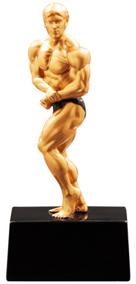 schraubfigur-bodybuilding-a-nr-sti-39783-01-coole-eventideen-com.jpg