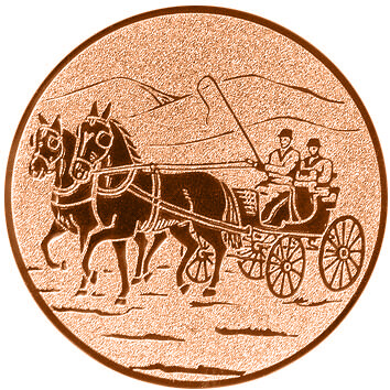 emblem-reiten-10-25-mm-bronze-a-nr-sti-60941-01-coole-eventideen-com.jpg