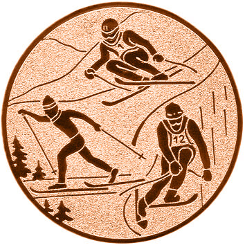 emblem-ski-7-25-mm-bronze-a-nr-sti-61157-01-coole-eventideen-com.jpg