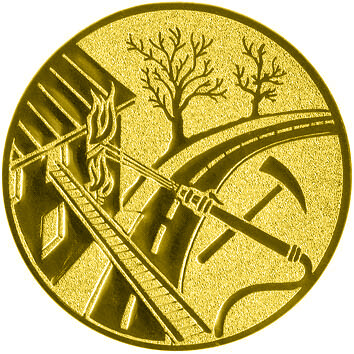 emblem-feuerwehr-1-25-mm-gold-a-nr-sti-60223-01-coole-eventideen-com.jpg