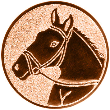 emblem-reiten-1-50-mm-bronze-a-nr-sti-60900-01-coole-eventideen-com.jpg