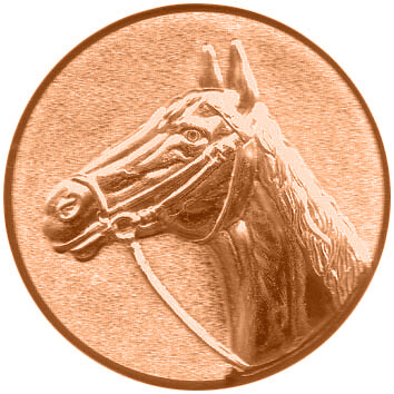 emblem-reiten-5-50-mm-bronze-a-nr-sti-60924-01-coole-eventideen-com.jpg