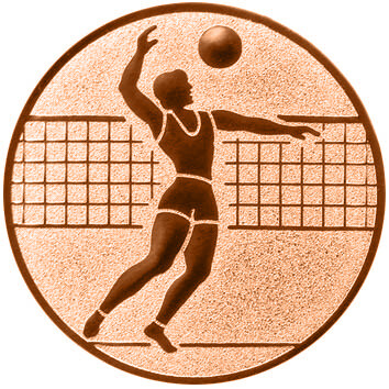 emblem-volleyball-1-50-mm-bronze-a-nr-sti-61380-01-coole-eventideen-com.jpg