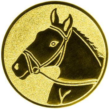 emblem-reiten-1-25-mm-gold-a-nr-sti-60895-01-coole-eventideen-com.jpg