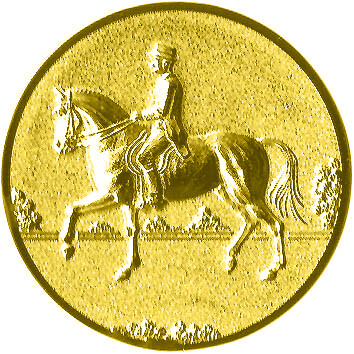 emblem-reiten-9-25-mm-gold-a-nr-sti-60931-01-coole-eventideen-com.jpg