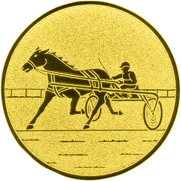 emblem-reiten-13-25-mm-gold-a-nr-sti-60943-01-coole-eventideen-com.jpg