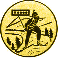 emblem-ski-2-25-mm-gold-a-nr-sti-61147-01-coole-eventideen-com.jpg