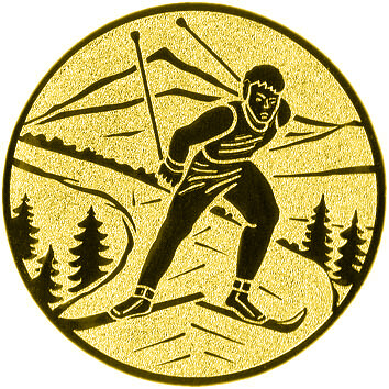 emblem-ski-6-25-mm-gold-a-nr-sti-61141-01-coole-eventideen-com.jpg