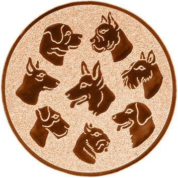 emblem-hundesport-3-50-mm-bronze-a-nr-sti-60384-01-coole-eventideen-com.jpg