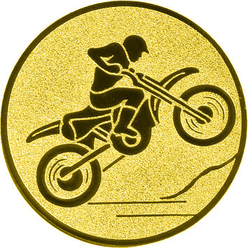 emblem-motorsport-5-50-mm-gold-a-nr-sti-60710-01-coole-eventideen-com.jpg