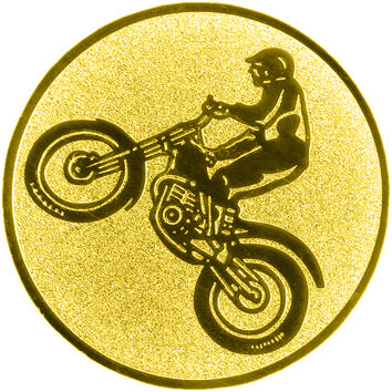 emblem-motorsport-11-50-mm-gold-a-nr-sti-60752-01-coole-eventideen-com.jpg