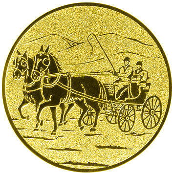 emblem-reiten-10-50-mm-gold-a-nr-sti-60938-01-coole-eventideen-com.jpg
