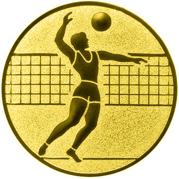 emblem-volleyball-1-50-mm-gold-a-nr-sti-61376-01-coole-eventideen-com.jpg