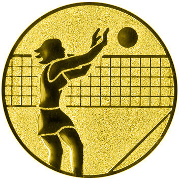 emblem-volleyball-2-50-mm-gold-a-nr-sti-61382-01-coole-eventideen-com.jpg
