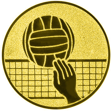 emblem-volleyball-4-50-mm-gold-a-nr-sti-61388-01-coole-eventideen-com.jpg