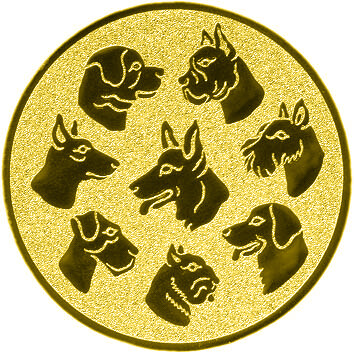 emblem-hundesport-3-50-mm-gold-a-nr-sti-60380-01-coole-eventideen-com.jpg