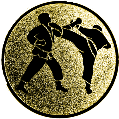 emblem-karate-3-50-mm-gold-a-nr-sti-60506-01-coole-eventideen-com.png
