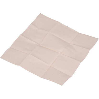 taschentuecher-midland-beige-a-nr-866913-02-coole-eventideen-com.jpg taschentuecher-midland-beige-a-nr-866913-02-coole-eventideen-com.jpg